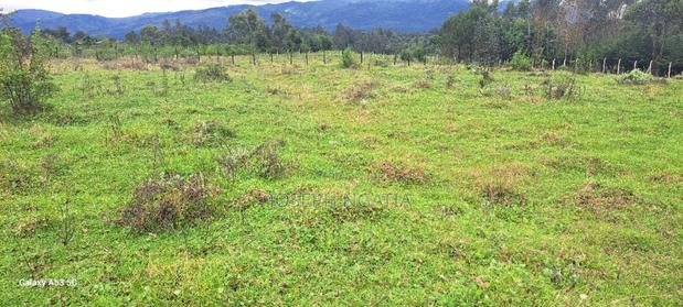 18 Acres on Quick Sale - thumbnail 7