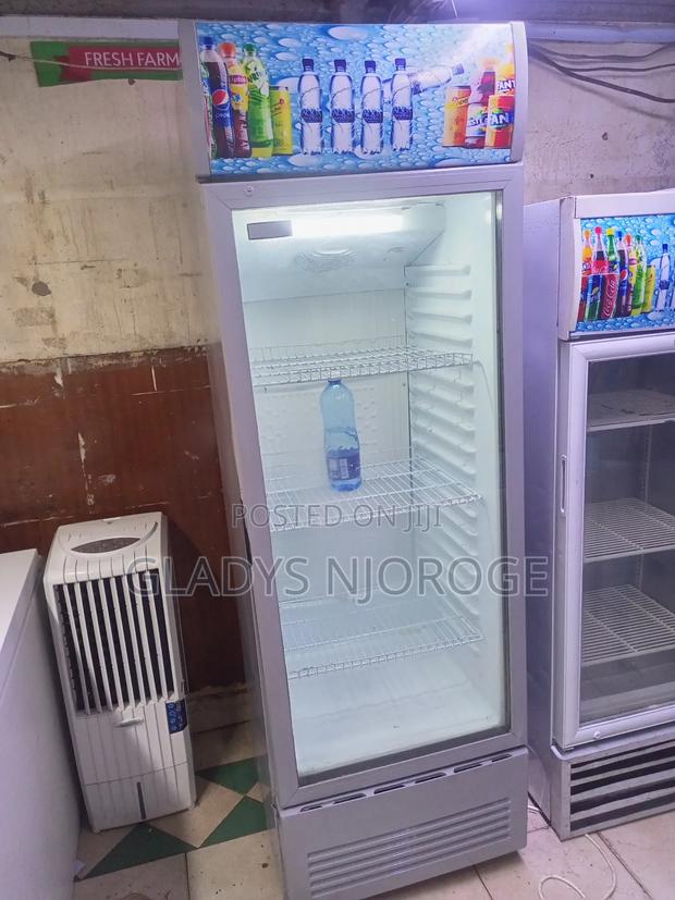 Ramon Display Fridge 280l - main view