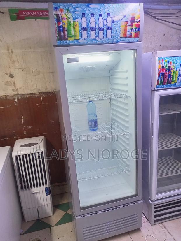 Ramon Display Fridge 280l - thumbnail 2