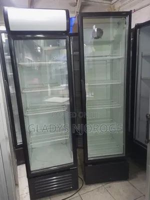 Elegant Chiller( Both 500l)