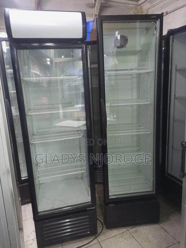 Elegant Chiller( Both 500l)