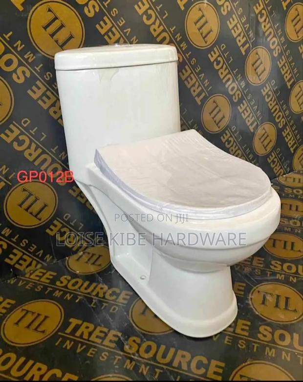 Blossom One Piece Wc Toilet Available - main view