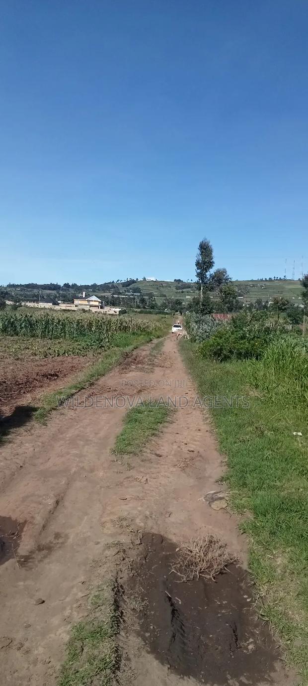 Land on Ihindu Naiva - thumbnail 2