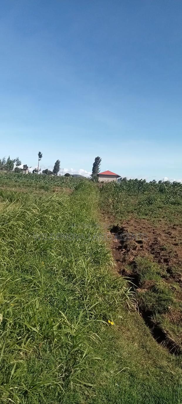 Land on Ihindu Naiva - thumbnail 4