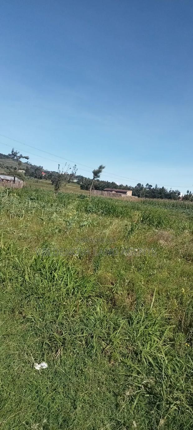 Land on Ihindu Naiva - thumbnail 5