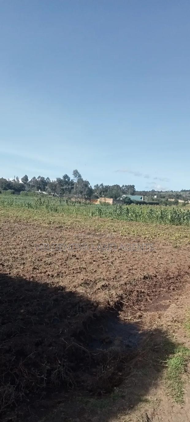 Land on Ihindu Naiva - thumbnail 6