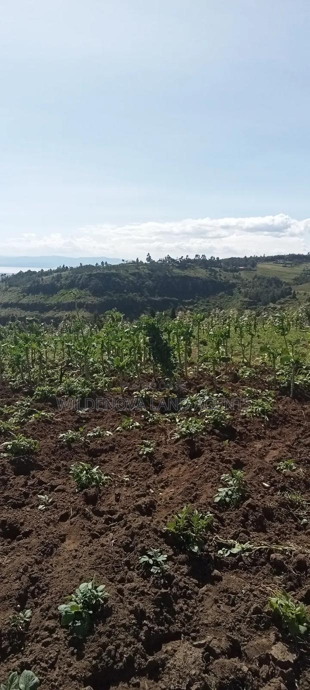 Land on Sale at Flyover Kinangop - thumbnail 6