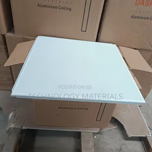 Aluminium Perforated Panel Ceiling (60*60m)