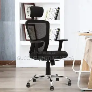 Office Chair: Ergonomic Wide Mesh Back Chair for Office