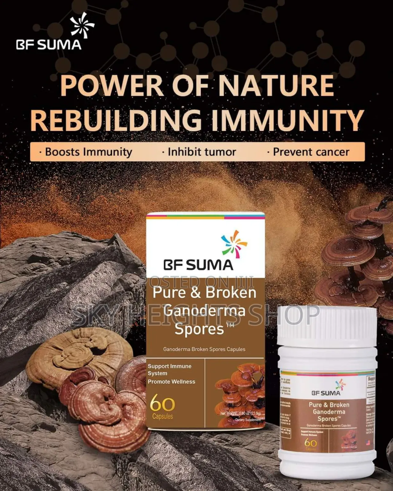 Pure And Broken Ganoderma Spores 60 Capsules Higher Immunity