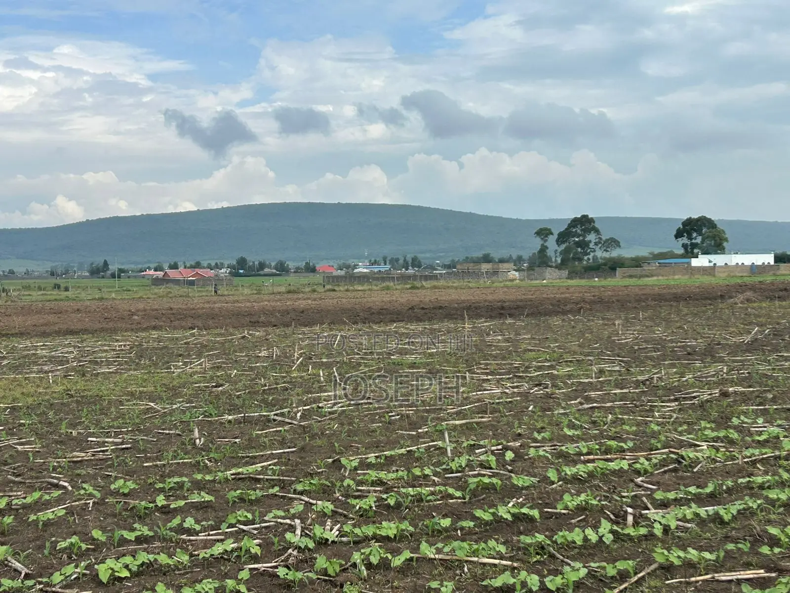 Nakuru Greensteds 1acres Blocks