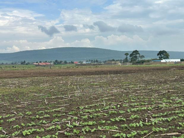 Nakuru Greensteds 1acres Blocks - thumbnail 4