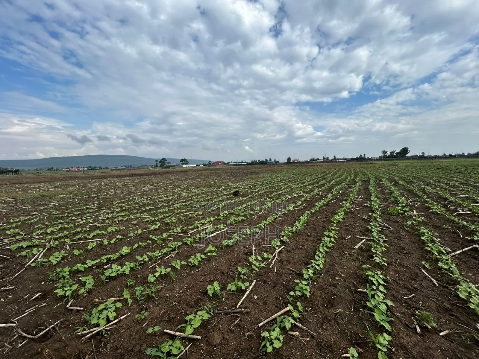 Nakuru Greensteds 1acres Blocks