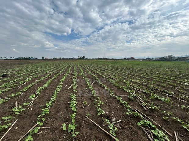 Nakuru Greensteds 1acres Blocks - thumbnail 7