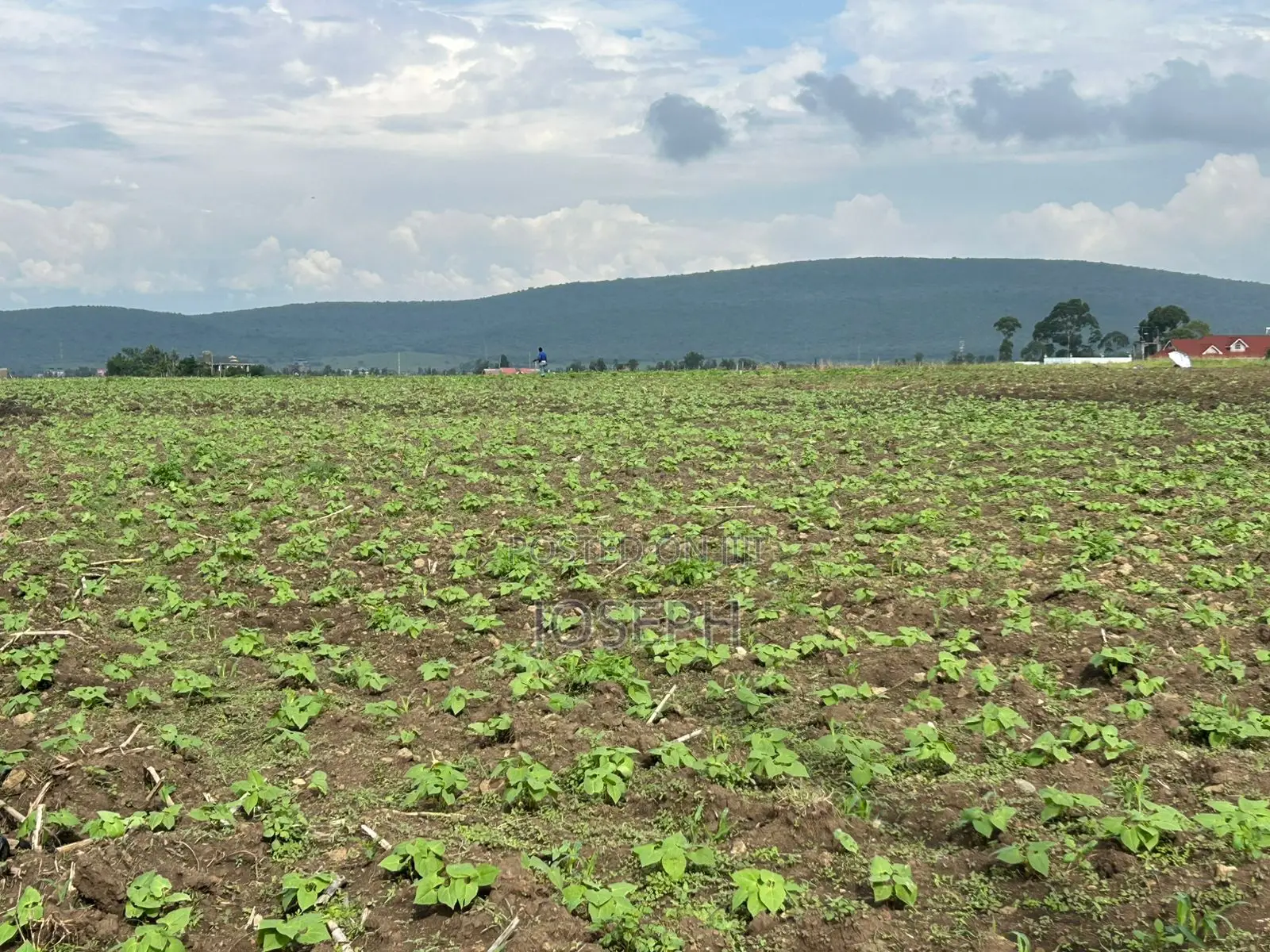 Nakuru Greensteds 1acres Blocks