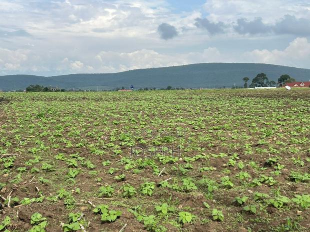 Nakuru Greensteds 1acres Blocks - thumbnail 8