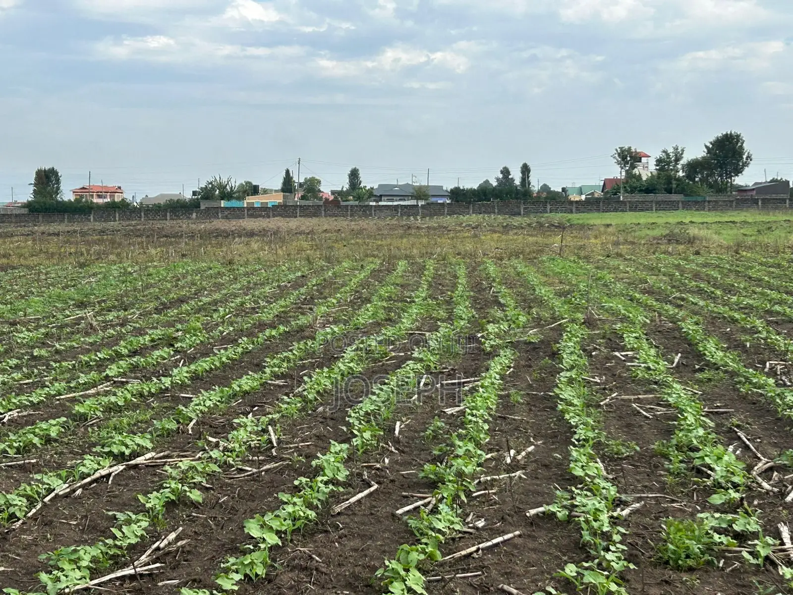 Nakuru Greensteds 1acres Blocks