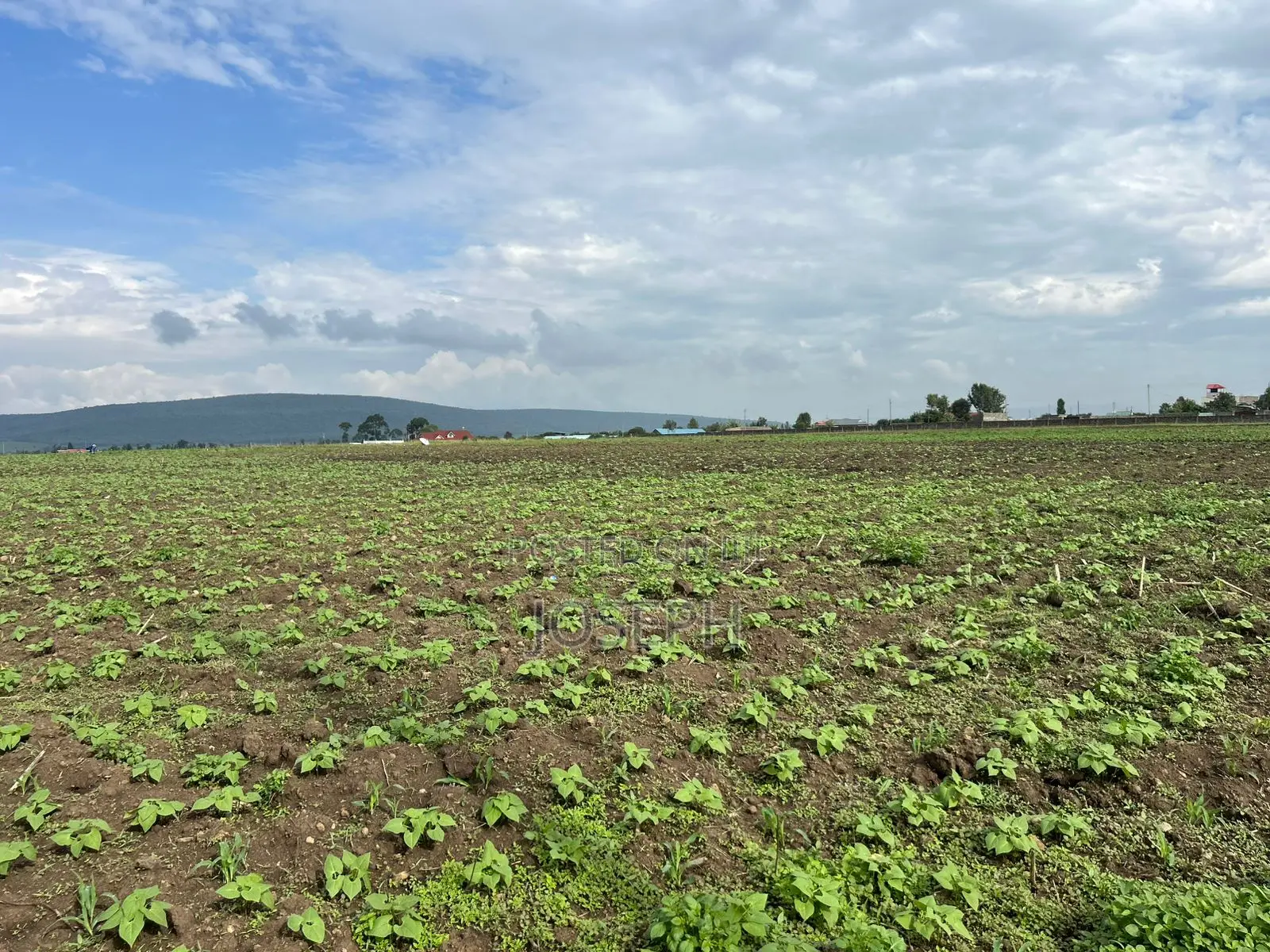 Nakuru Greensteds 1acres Blocks