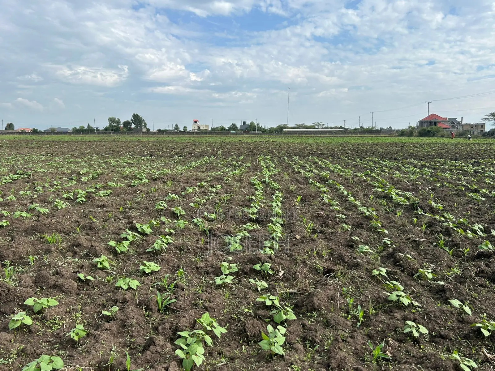 Nakuru Greensteds 1acres Blocks
