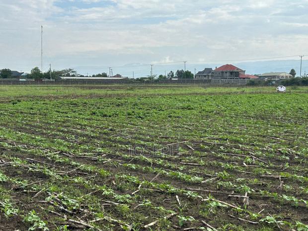 Nakuru Greensteds 1acres Blocks - thumbnail 15