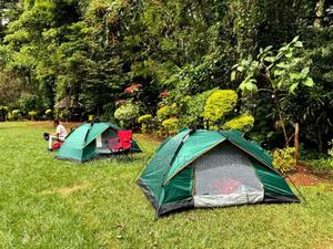 Camping Tent 2-5pple - thumbnail 2