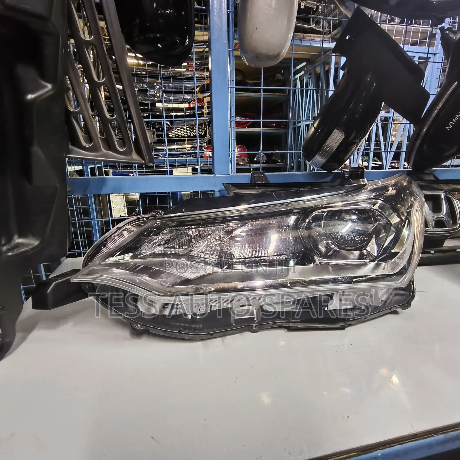 Fielder 165 Xenon Headlight