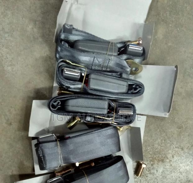 Two Pin Up Press Grey Safety Belts