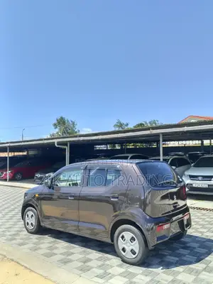 Suzuki Alto 2018 Brown
