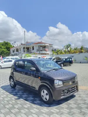Suzuki Alto 2018 Brown