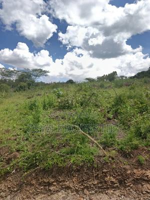 Quarter Acre Nalepo-Kiserian - thumbnail 2