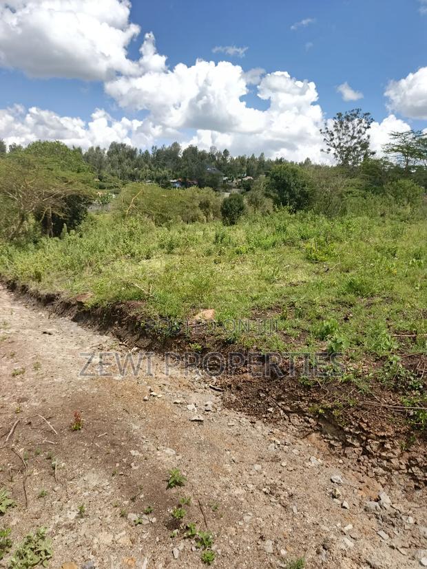 Quarter Acre Nalepo-Kiserian - thumbnail 3