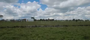 Get Kitengela Plains 2 for a Cash Offer of 1.49 M