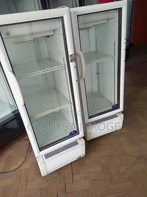Perfect Working Medium Display Fridge