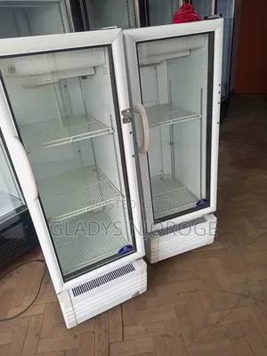Perfect Working Medium Display Fridge