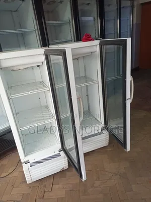 Perfect Working Medium Display Fridge