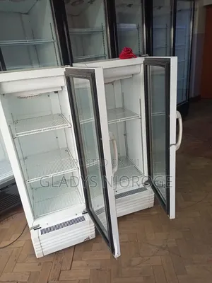 Perfect Working Medium Display Fridge