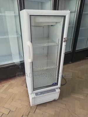 Elegant Mirror Fridge