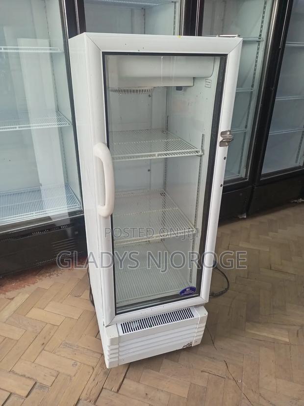 Elegant Mirror Fridge - main view