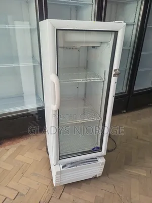 Elegant Mirror Fridge