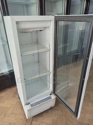 Elegant Mirror Fridge