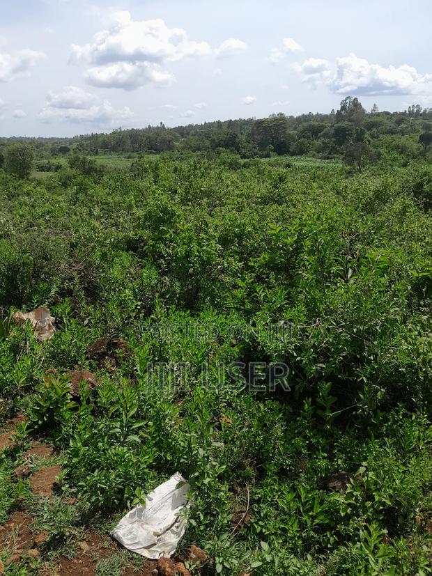 Prime 1 1⁄2 Acre Besides Governor's Office Homa Bay - thumbnail 6