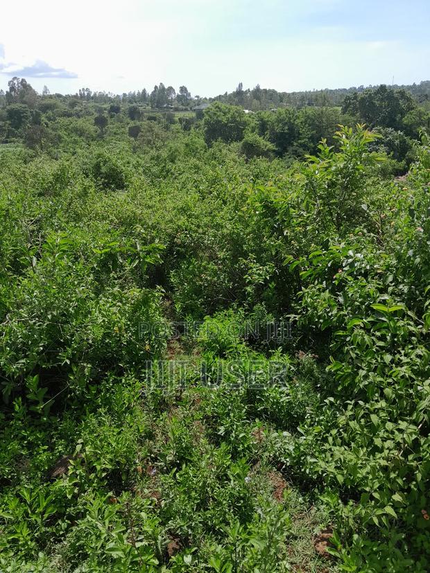 Prime 1 1⁄2 Acre Besides Governor's Office Homa Bay - thumbnail 7