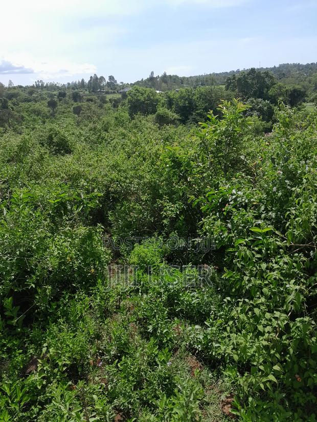 Prime 1 1⁄2 Acre Besides Governor's Office Homa Bay - thumbnail 9