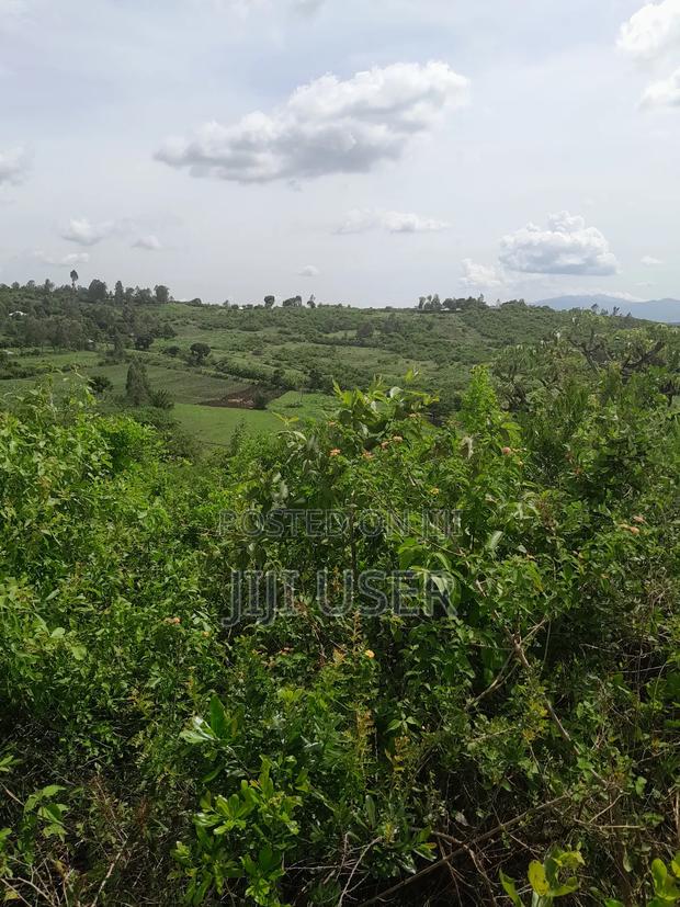 4 Acres of Land in Adongo Area Homa Bay - main view