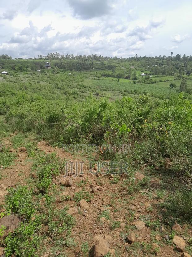 4 Acres of Land in Adongo Area Homa Bay - thumbnail 3