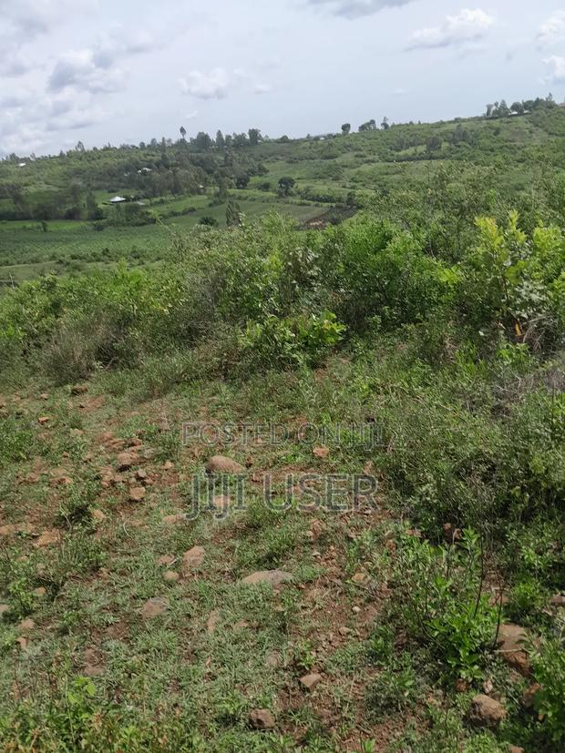 4 Acres of Land in Adongo Area Homa Bay - thumbnail 4