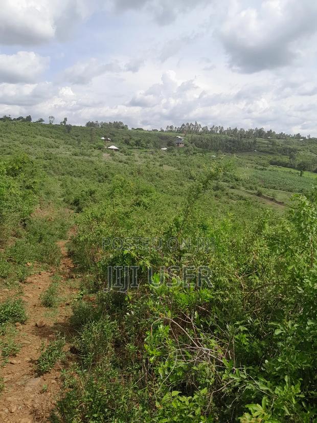 4 Acres of Land in Adongo Area Homa Bay - thumbnail 5