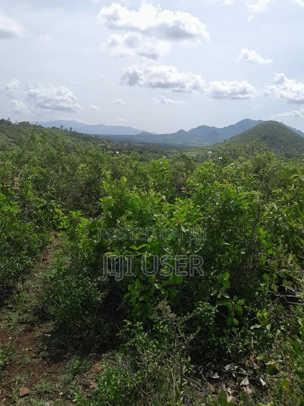 4 Acres of Land in Adongo Area Homa Bay - thumbnail 6