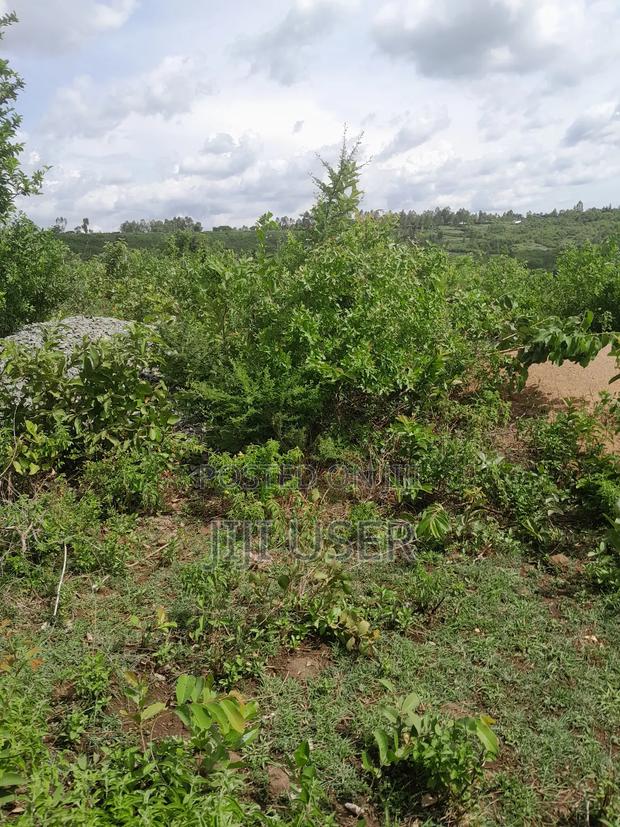 4 Acres of Land in Adongo Area Homa Bay - thumbnail 7