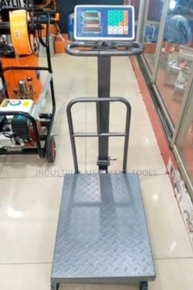 Accurate 600kgs Platform Weighing Scale - main view